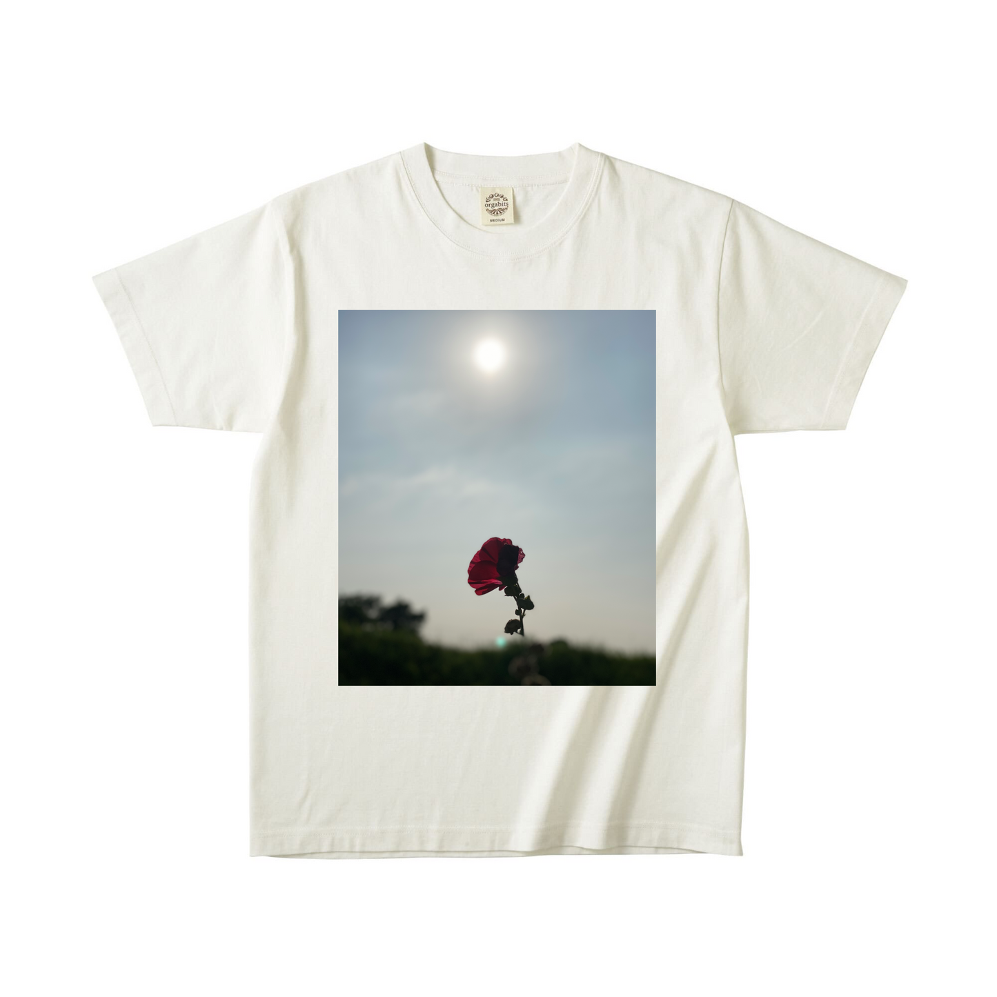 ナチュラルオーガニック半袖Tシャツ Mサイズ