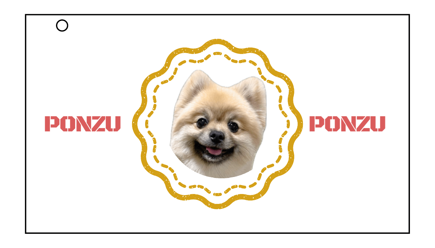 マルチケース Sサイズ
