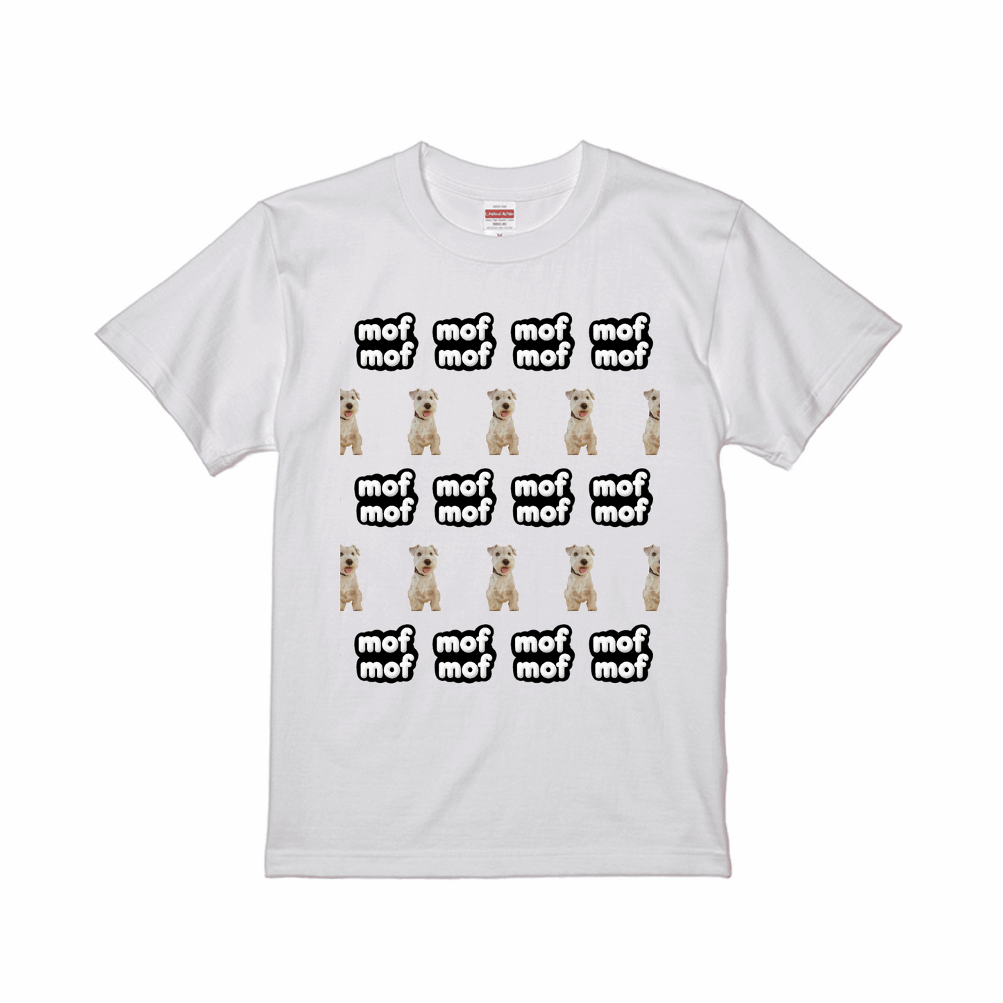 prt-5001-01-SW