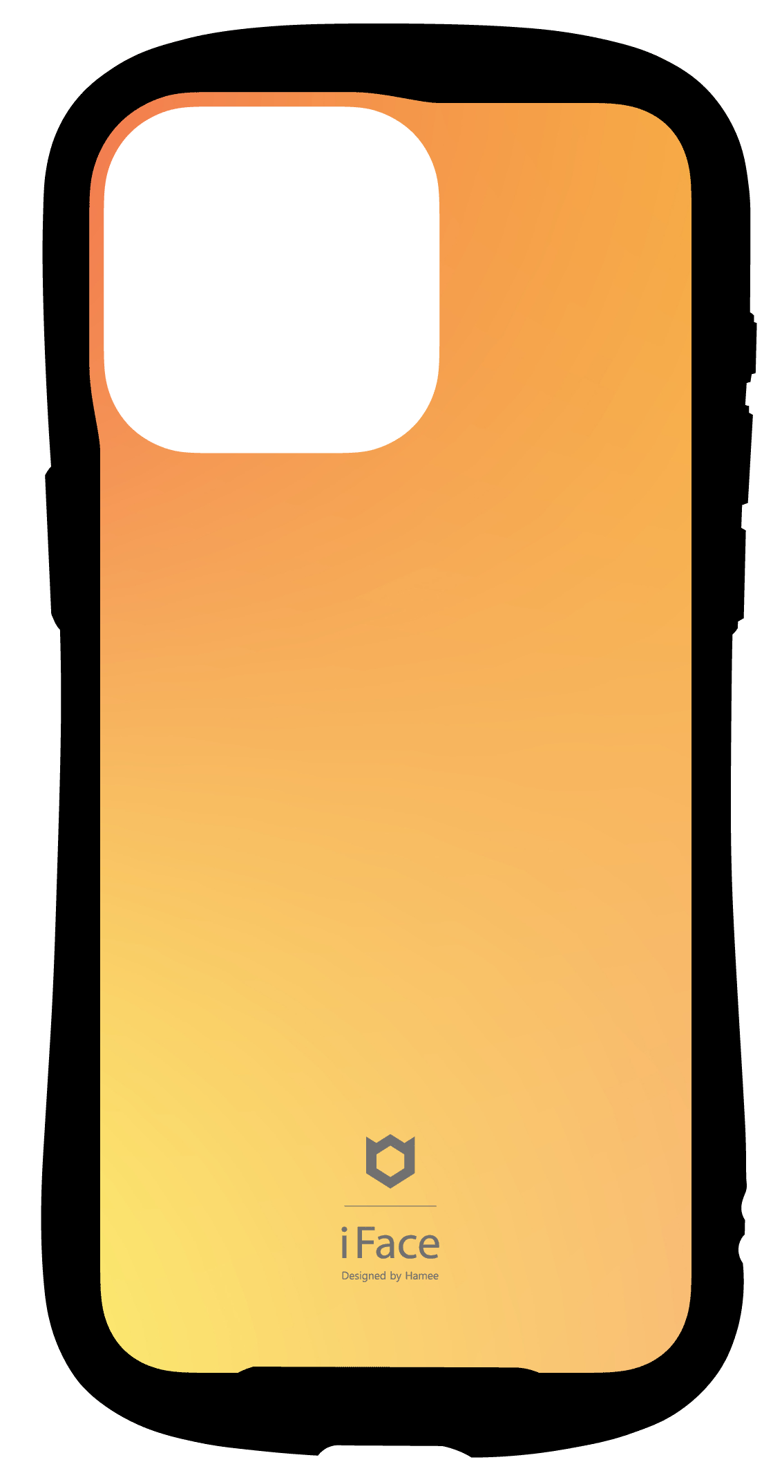 41-LAB-IS-010