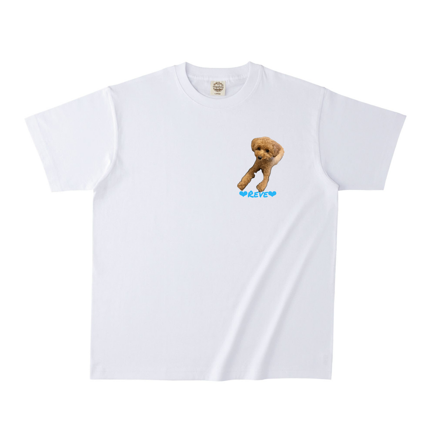 ホワイトオーガニック半袖Tシャツ Mサイズ