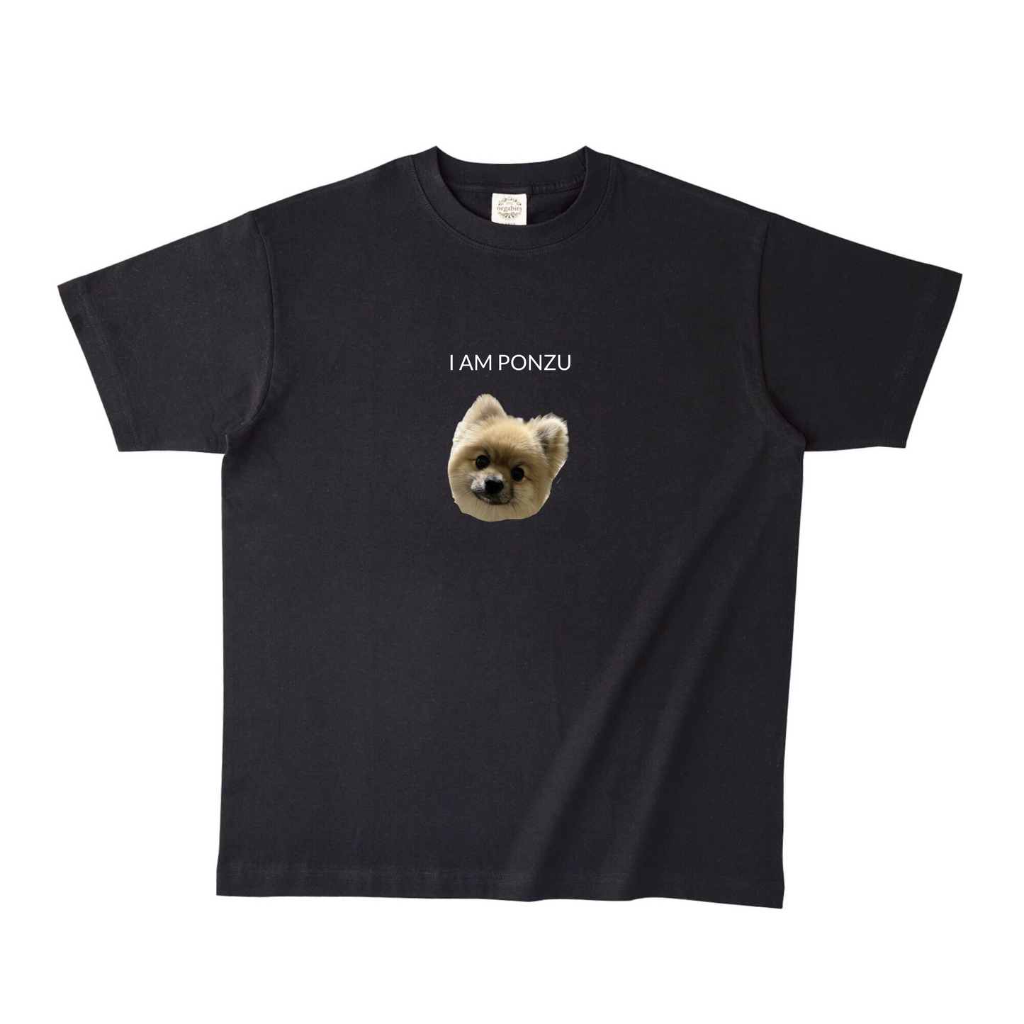 ブラックオーガニック半袖Tシャツ XXLサイズ