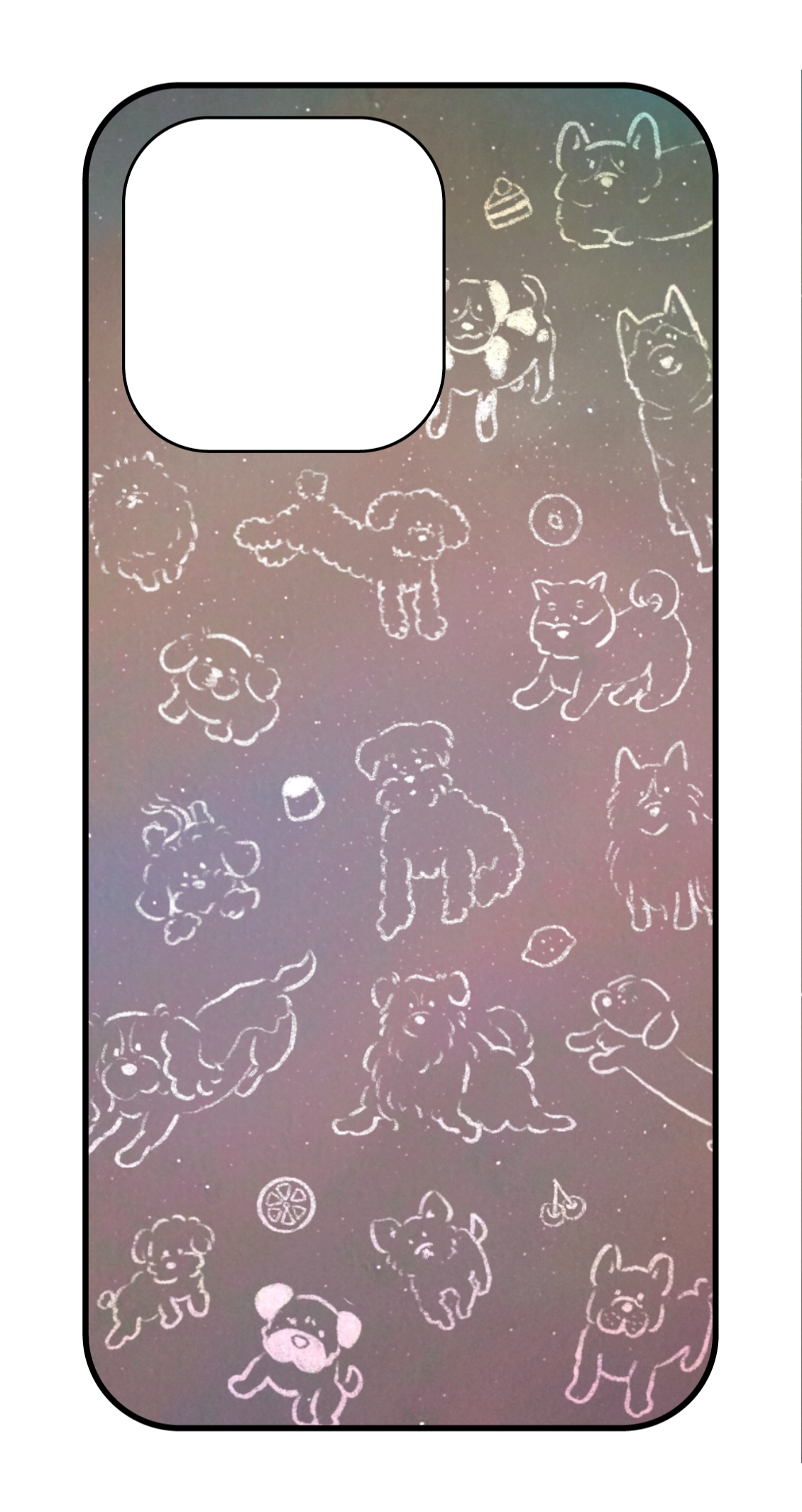 labo6-custom_case_15pm