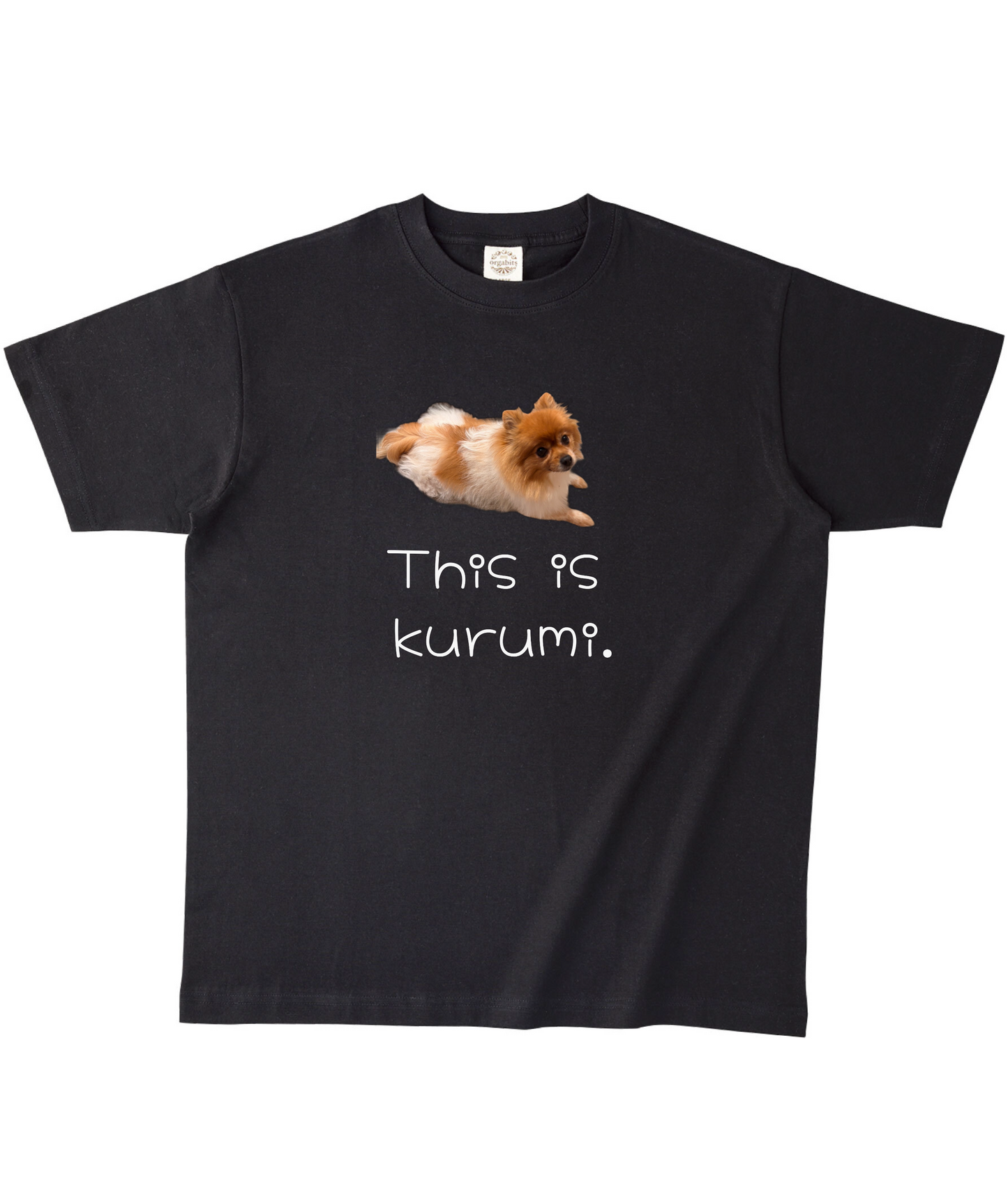 ブラックオーガニック半袖Tシャツ XLサイズ