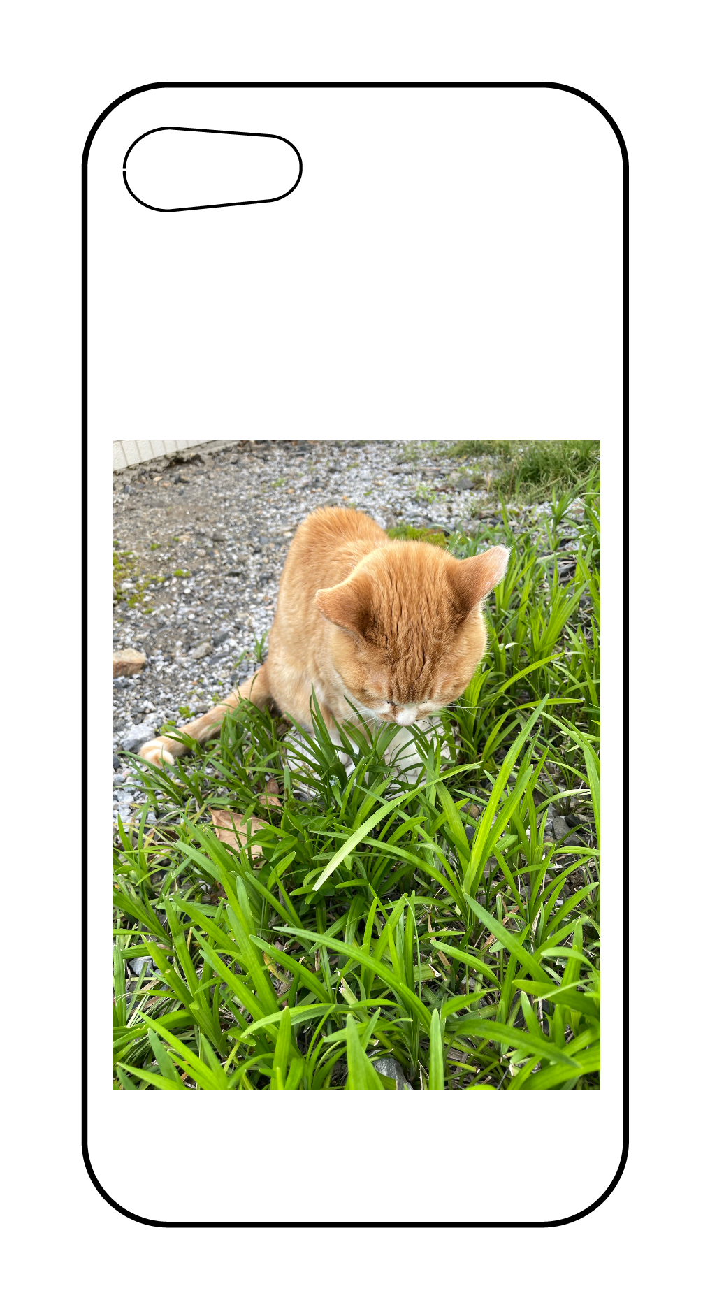 カスタマイズスマホケース iPhone SE 2022/SE 2020/8/7