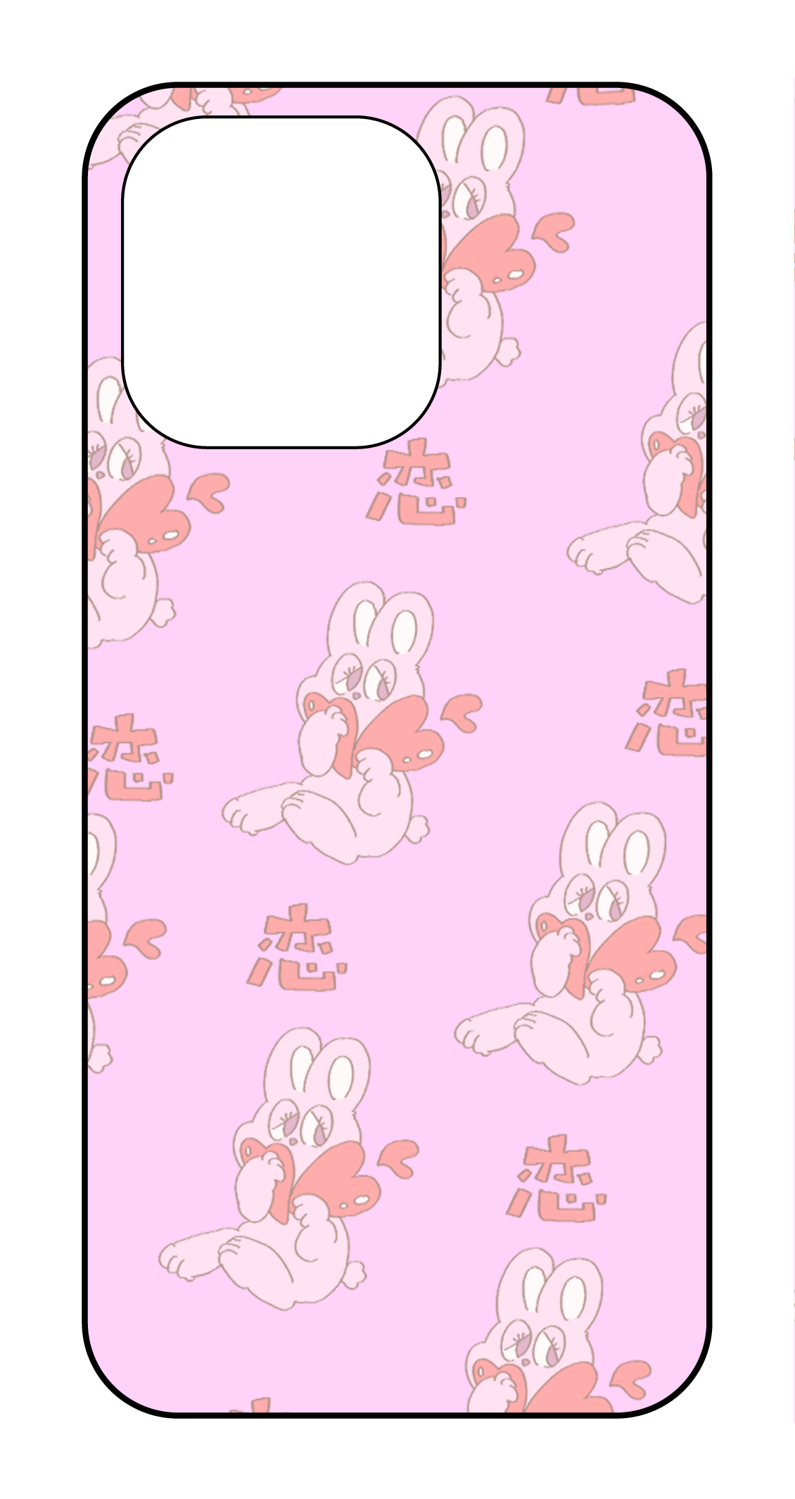labo6-custom_case_15pm