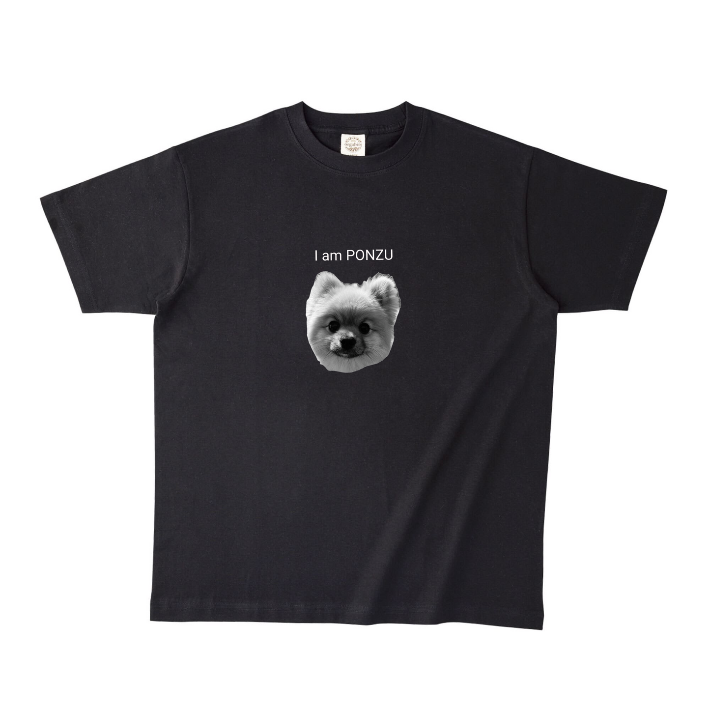 ブラックオーガニック半袖Tシャツ XLサイズ