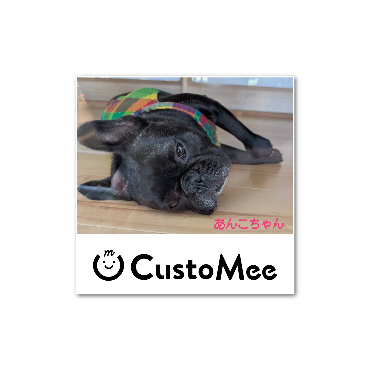 ペーパーウエイト(10cm × 10cm、厚さ2cm) アクリル