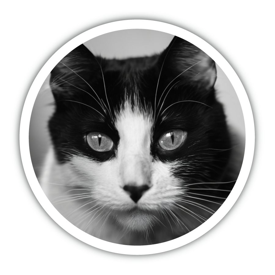 おやつ缶 丸缶 Sサイズ 白黒猫