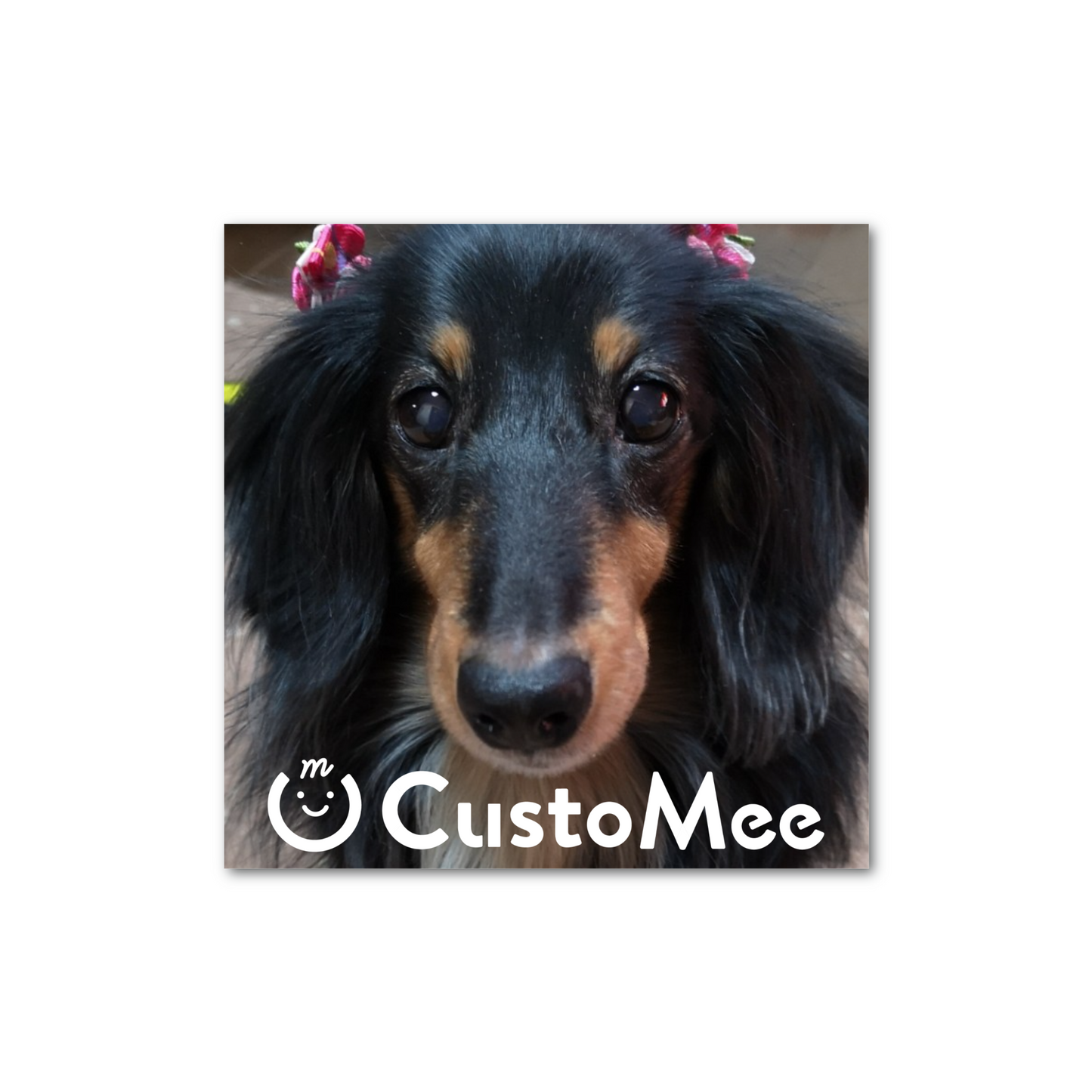 ペーパーウエイト(10cm × 10cm、厚さ2cm) アクリル