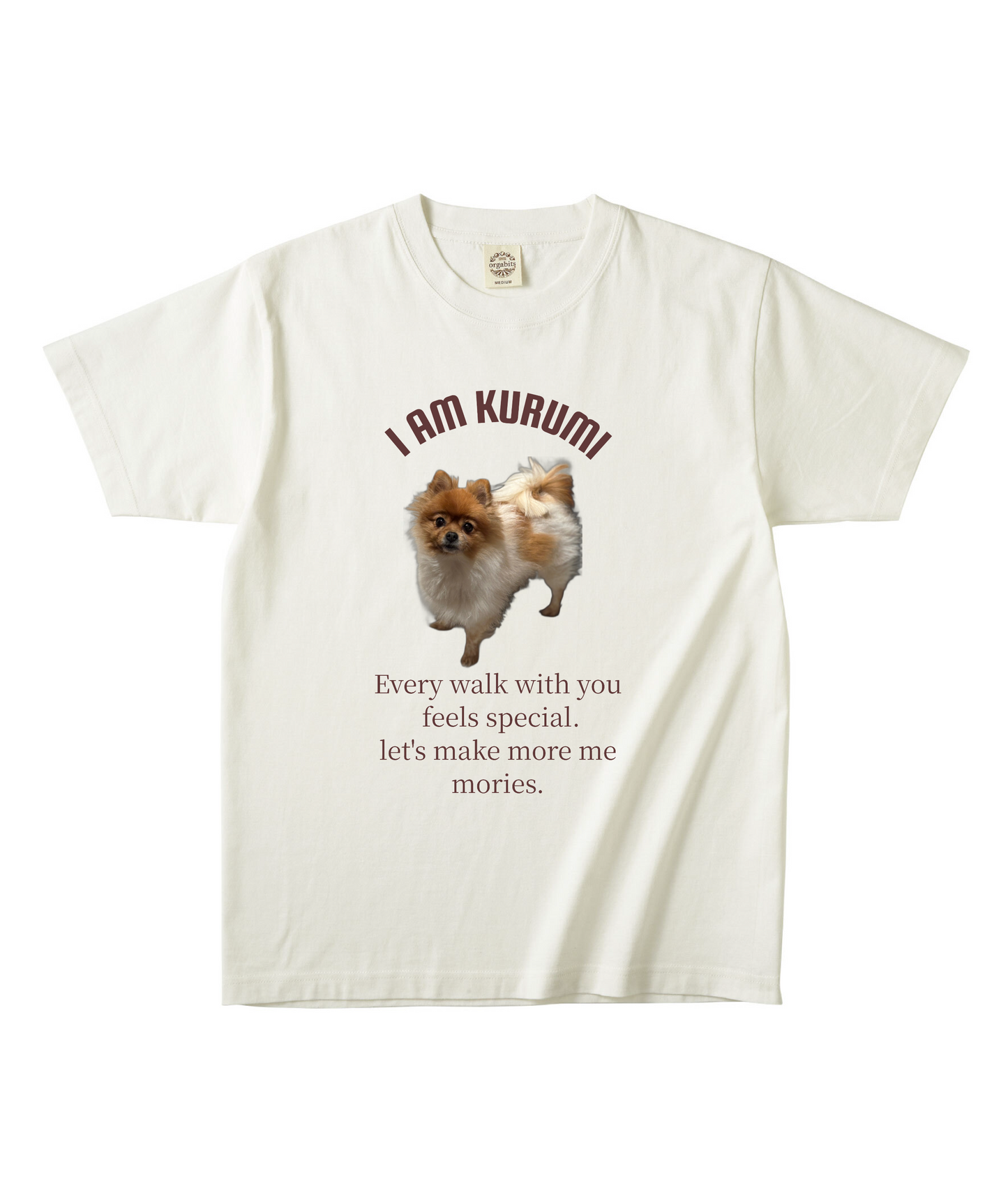 ナチュラルオーガニック半袖Tシャツ XLサイズ