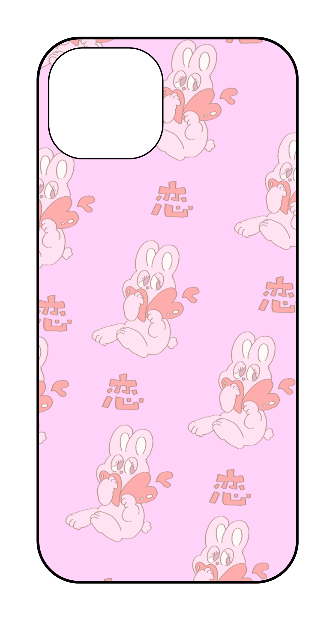 labo6-custom_case_13_14