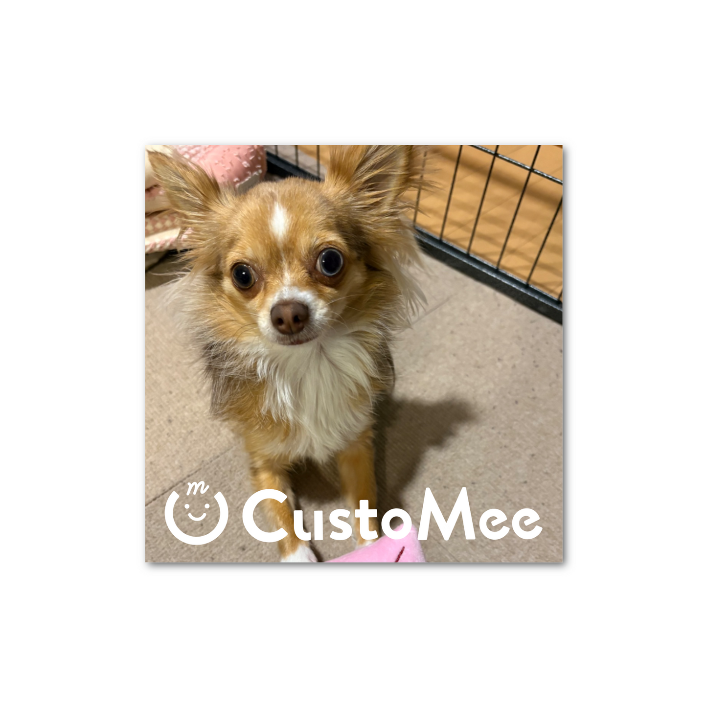 ペーパーウエイト(10cm × 10cm、厚さ2cm) アクリル