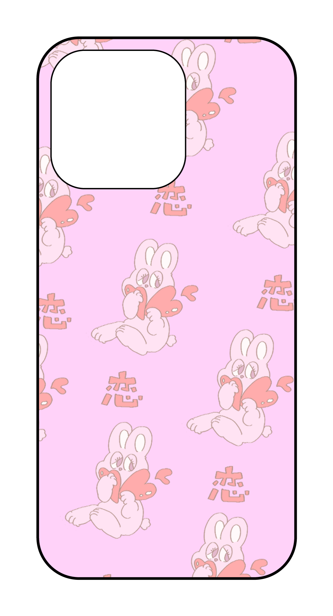 labo6-custom_case_13p