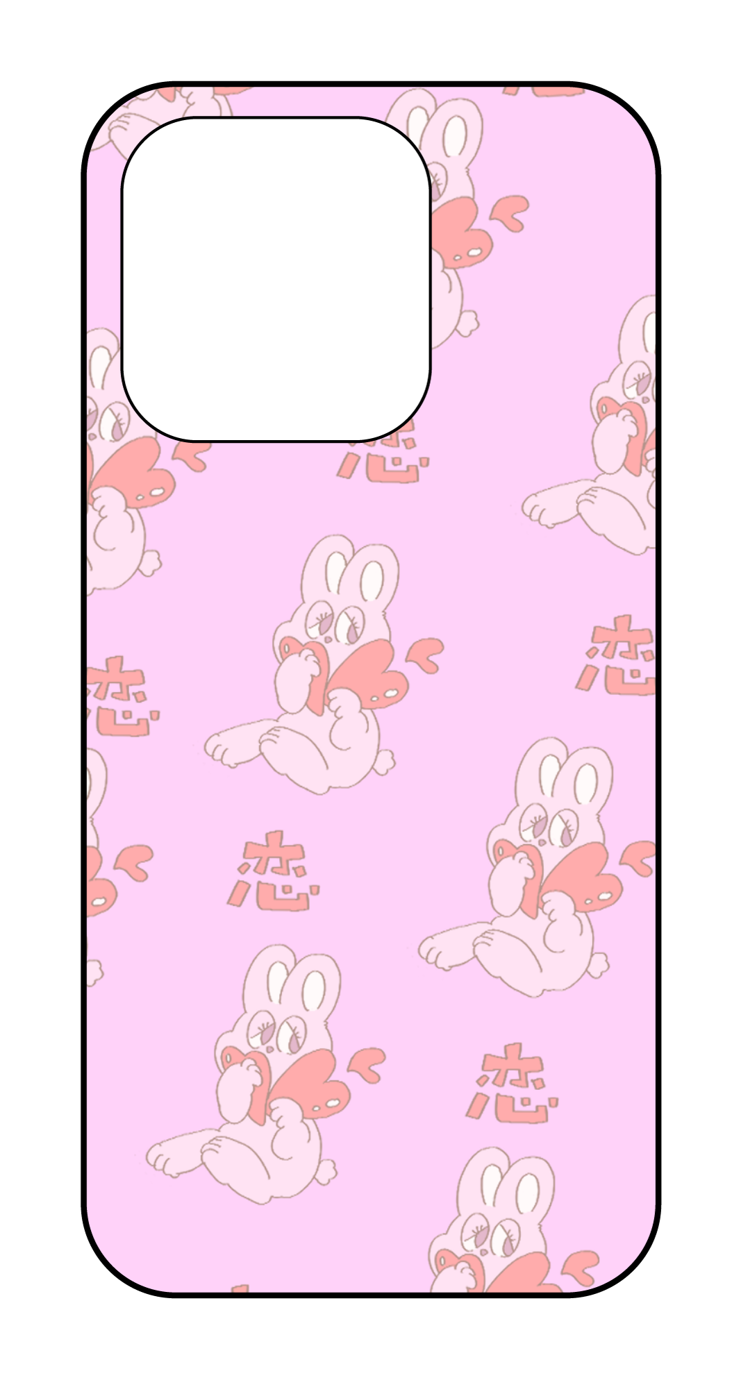 labo6-custom_case_15p