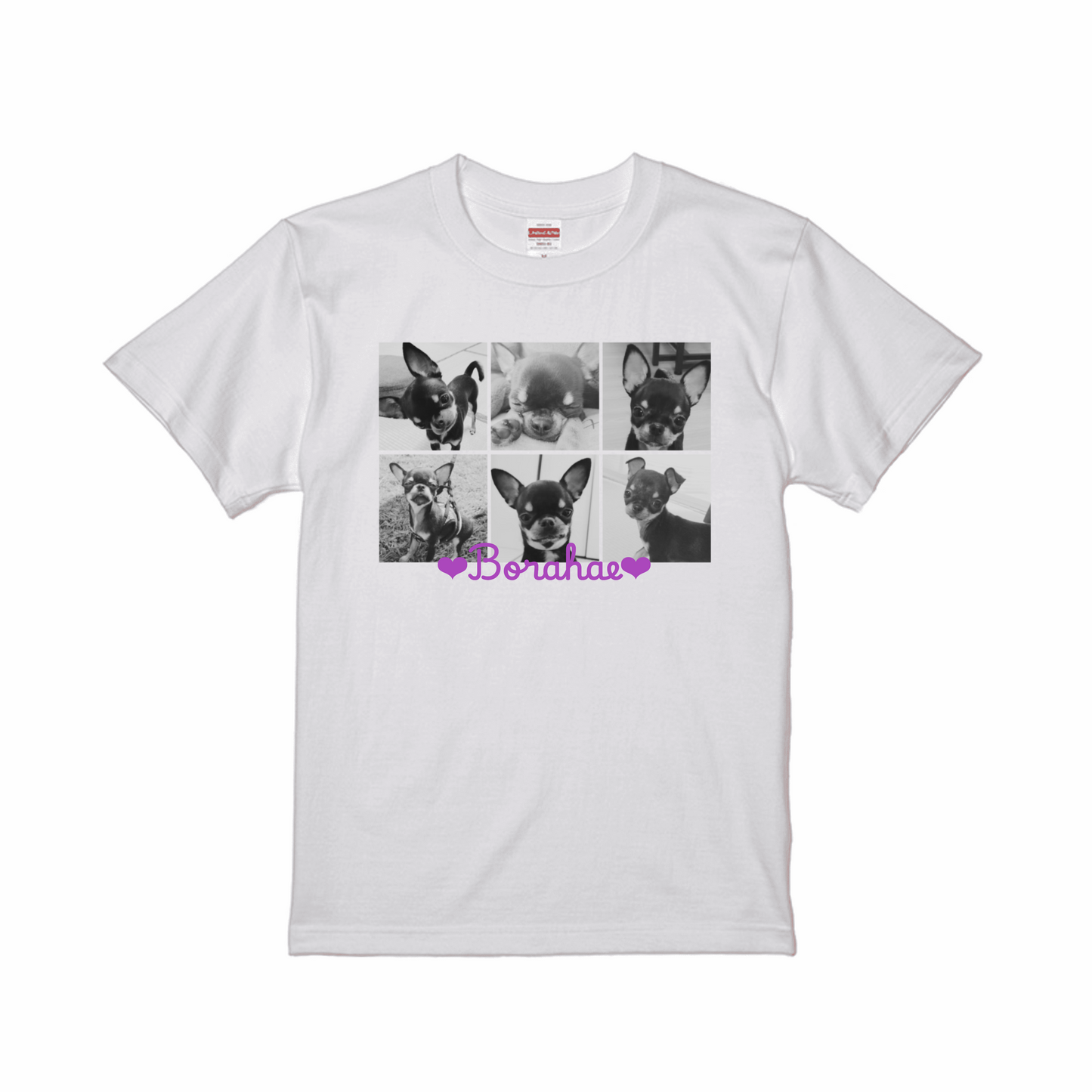 prt-5001-01-SW