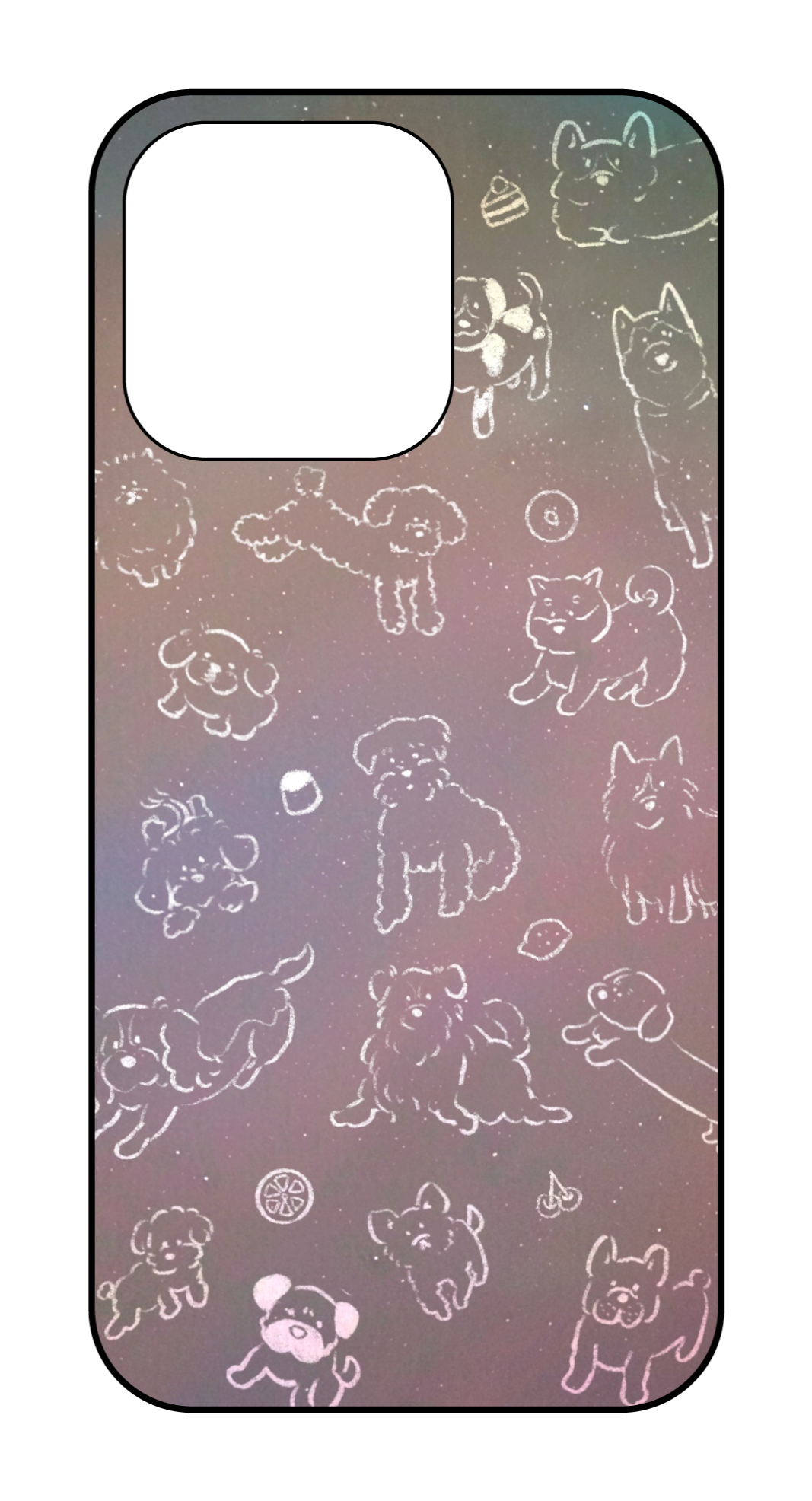 labo6-custom_case_13p