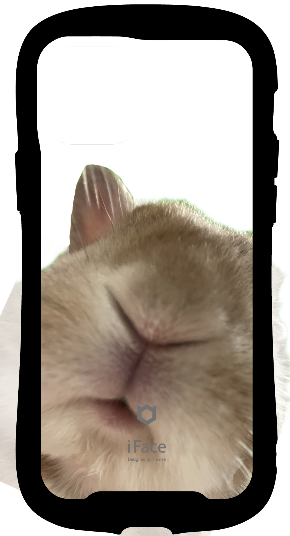 iFace reflectionインナーシート iPhone 12/12 Pro