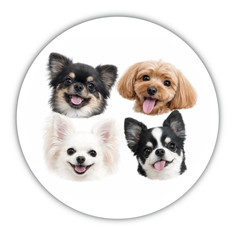 おやつ缶 丸缶 Sサイズ