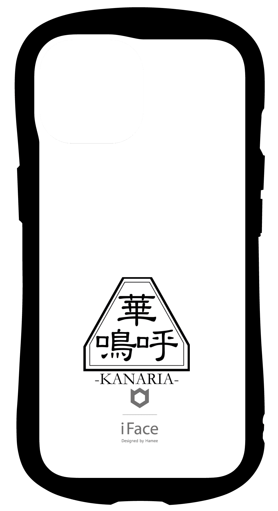 41-LAB-IS-008
