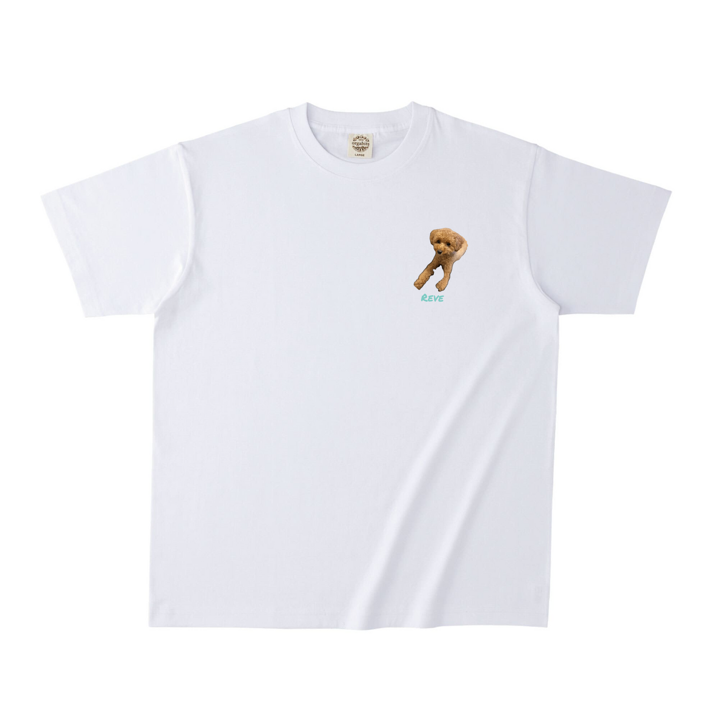 ホワイトオーガニック半袖Tシャツ Mサイズ