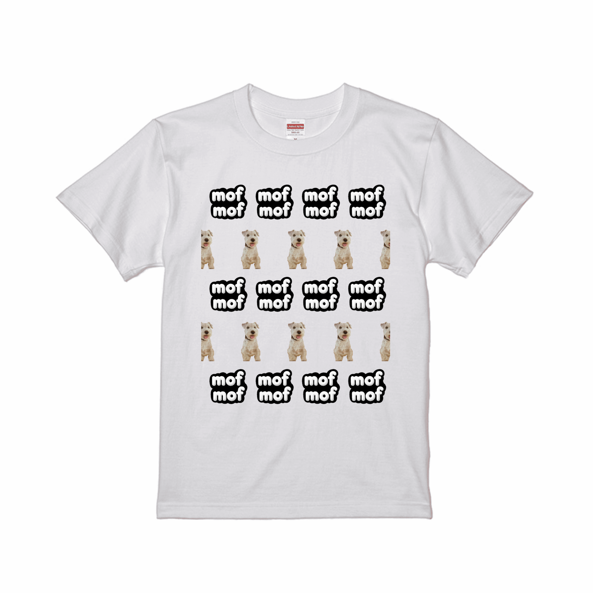 prt-5001-01-SW