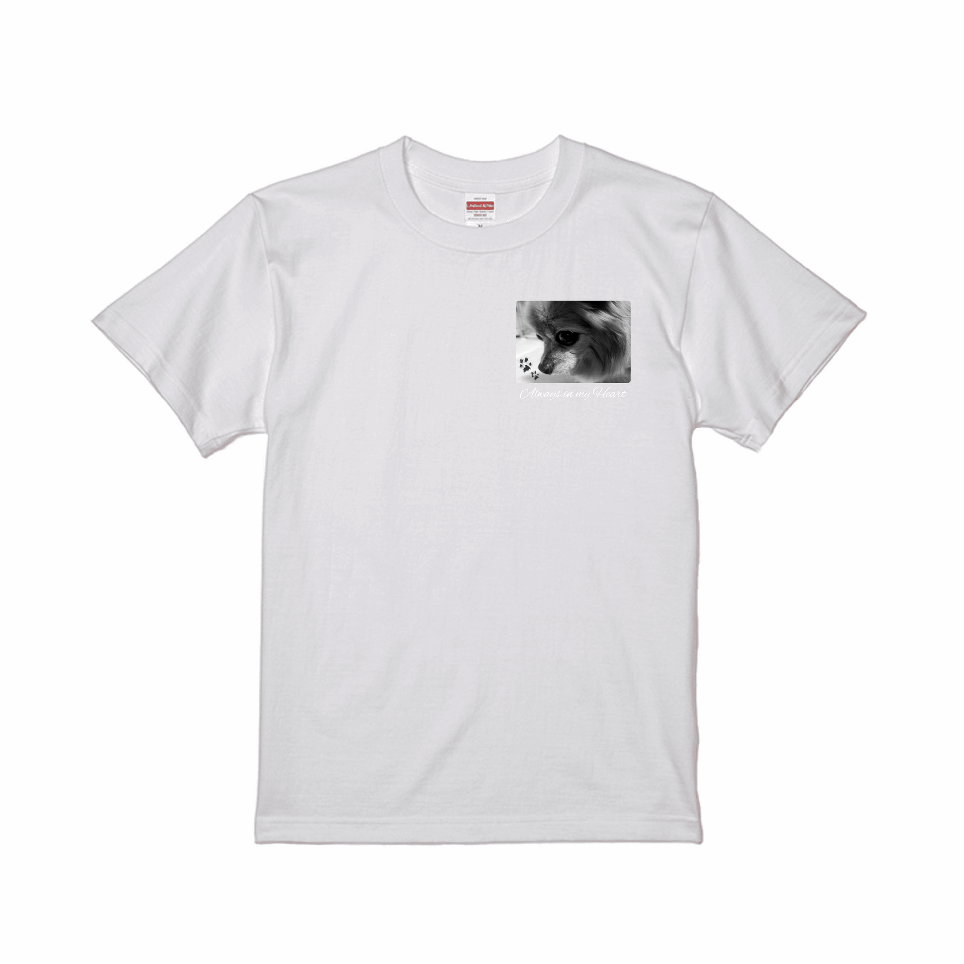 prt-5001-01-SW