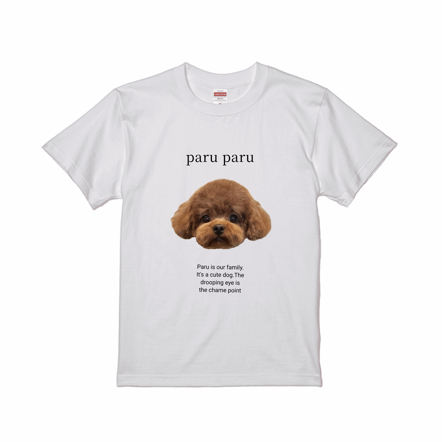 ホワイトスタンダード半袖Tシャツ Mサイズ