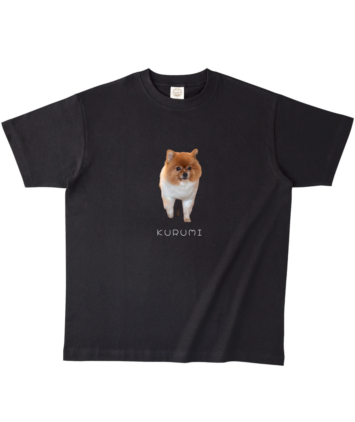 ブラックオーガニック半袖Tシャツ XLサイズ