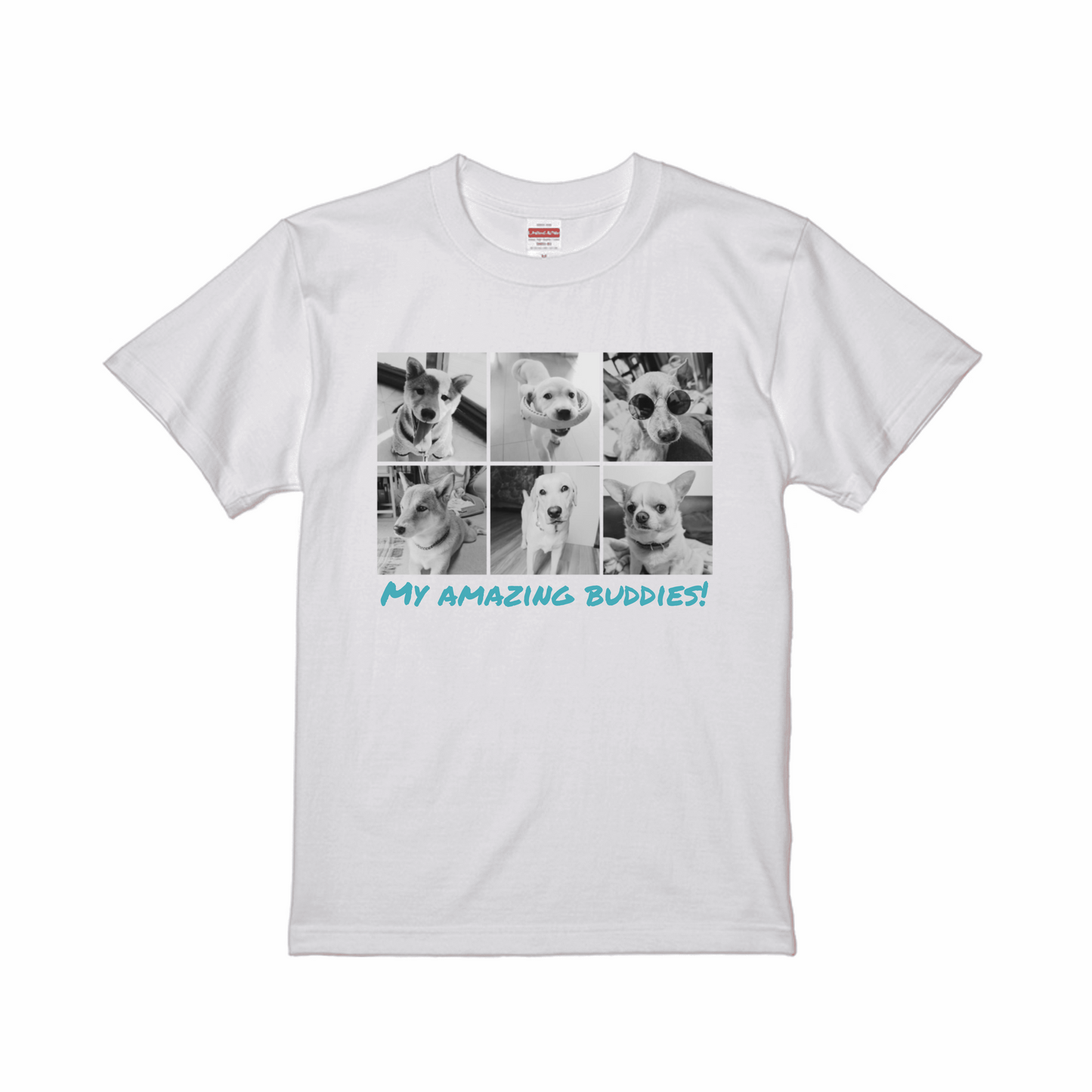 prt-5001-01-SW
