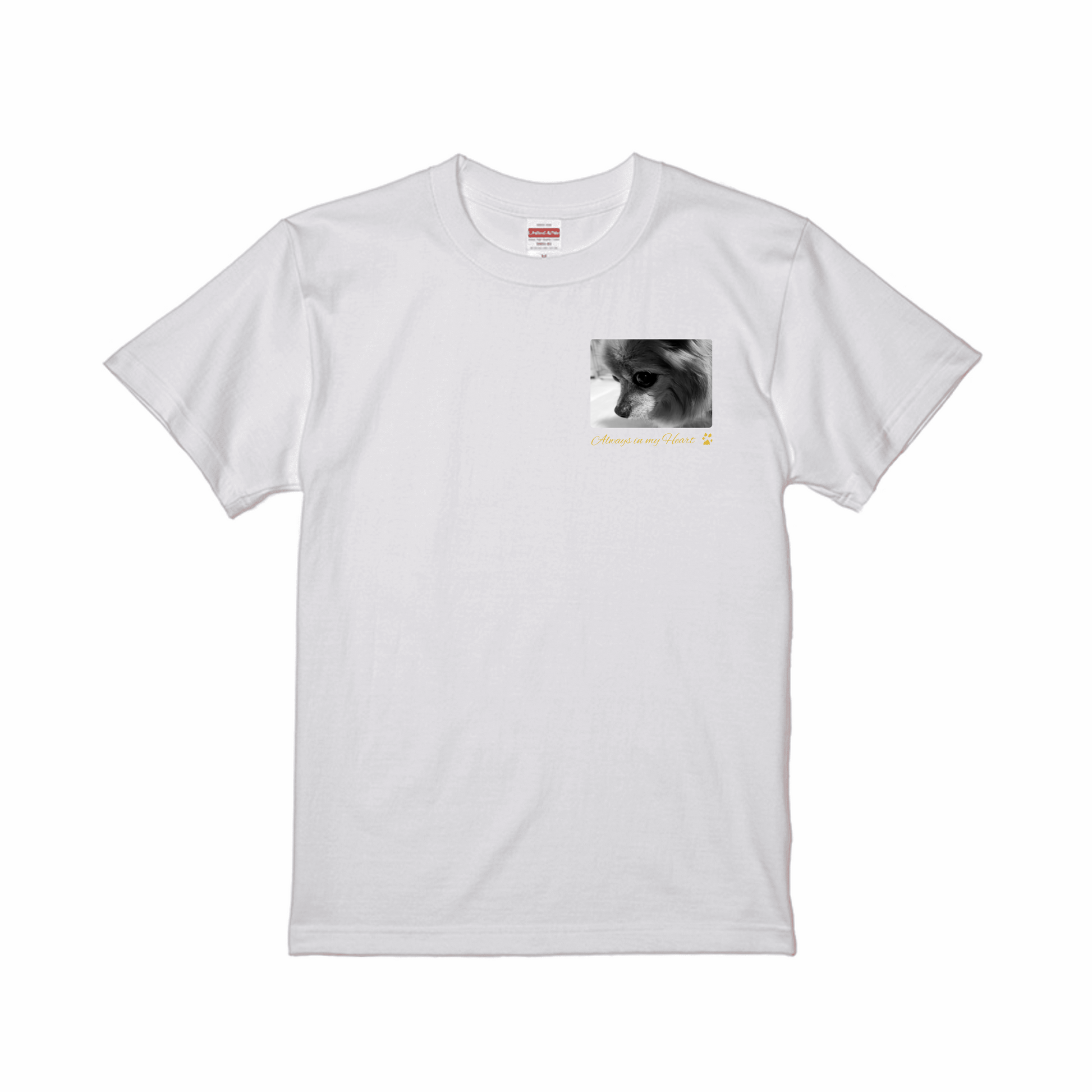 prt-5001-01-SW