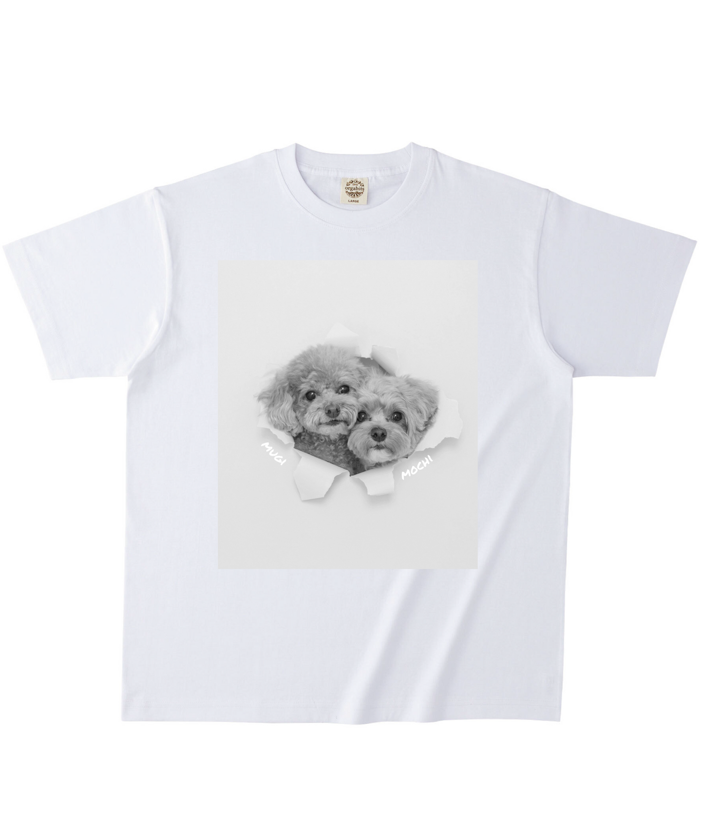 ホワイトオーガニック半袖Tシャツ Lサイズ