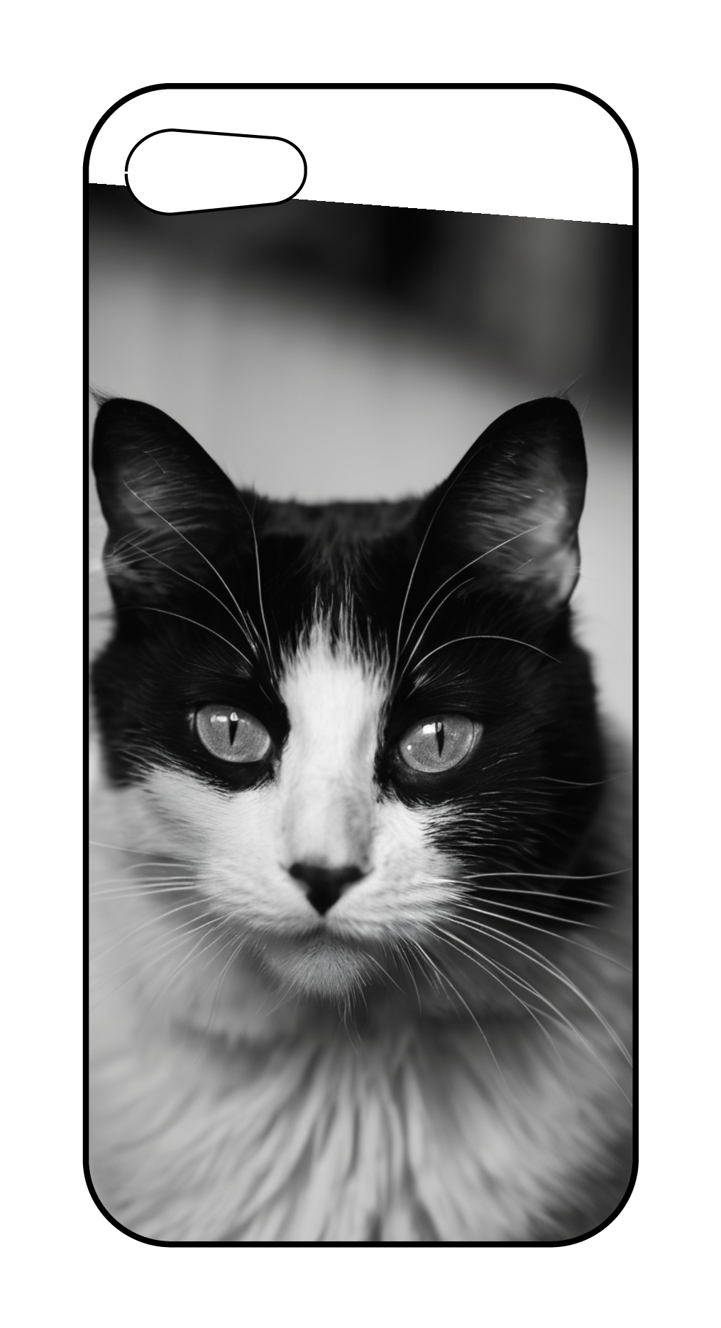 カスタマイズスマホケース iPhone SE 2022/SE 2020/8/7 白黒猫