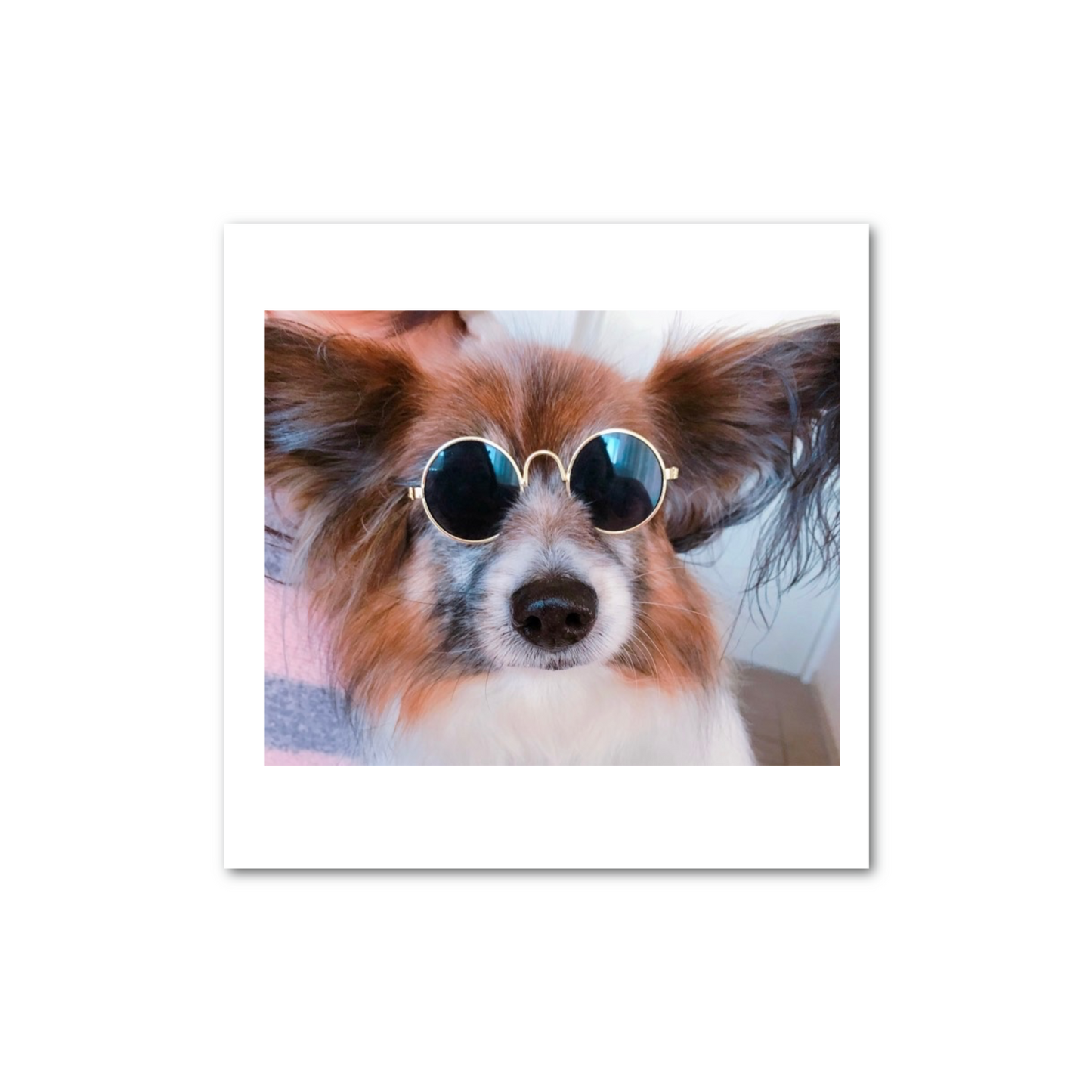 ペーパーウエイト（10cm × 10cm、厚さ2cm） アクリル