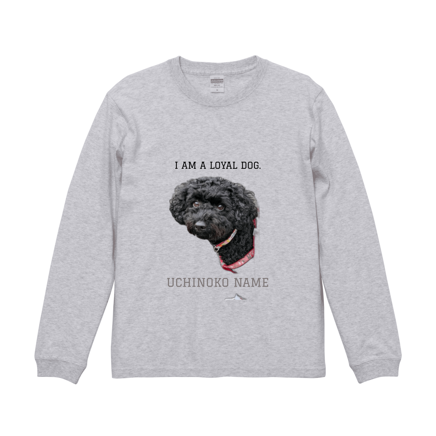 アッシュロングスリーブTシャツ XLサイズ
