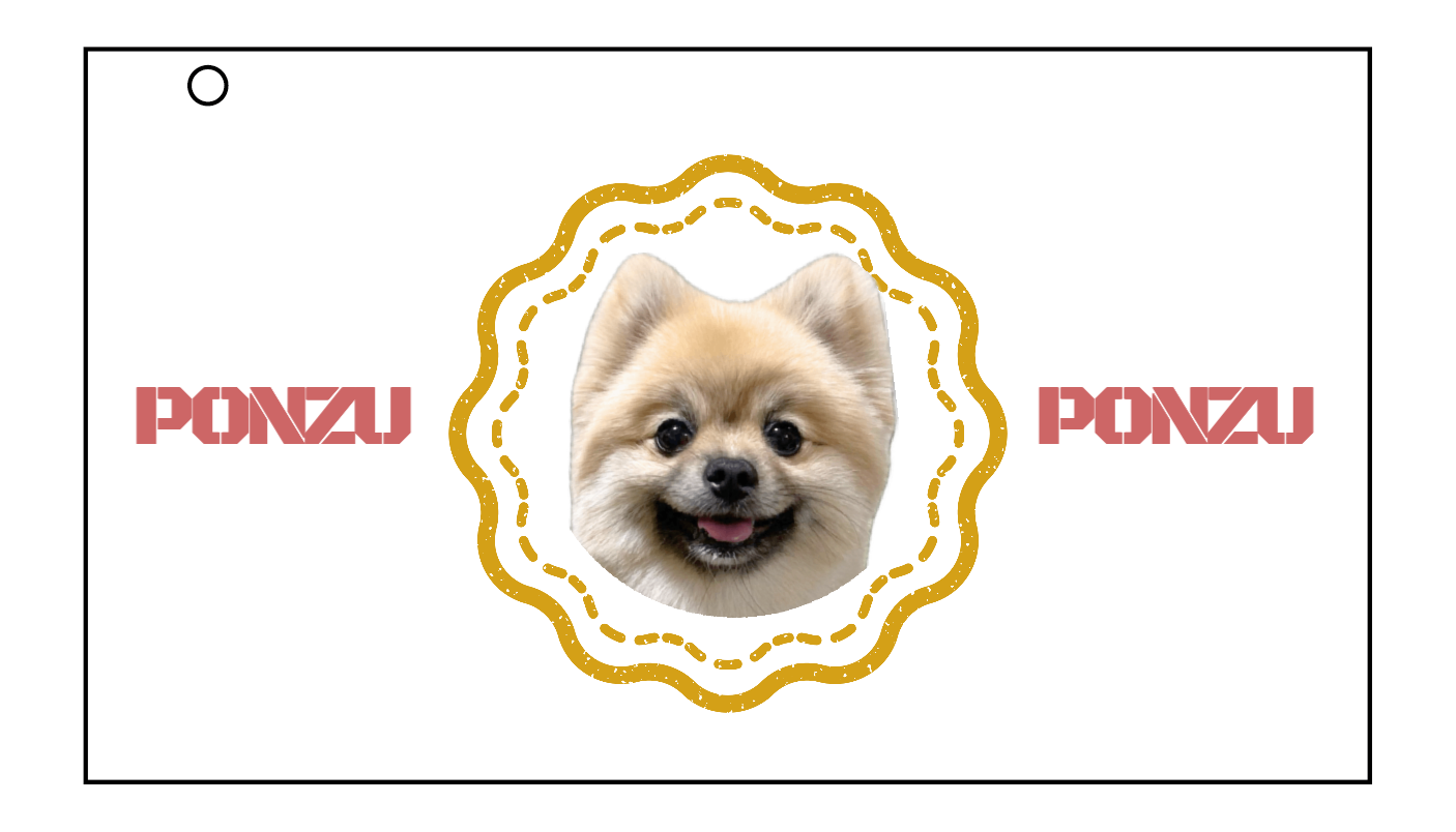 マルチケース Sサイズ