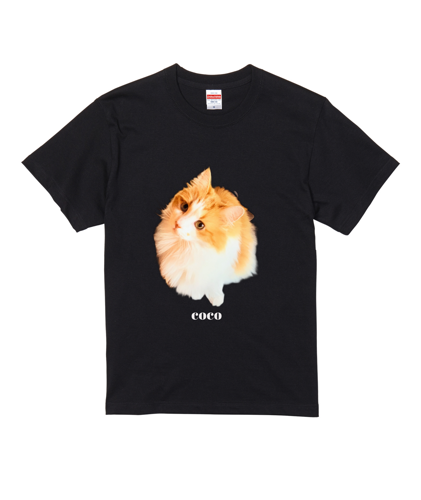 ブラックスタンダード半袖Tシャツ Lサイズ