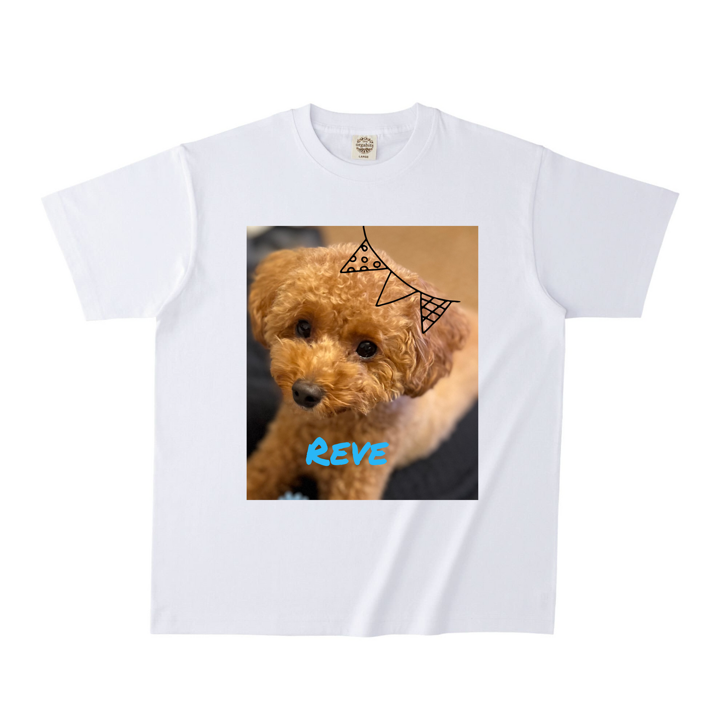ホワイトオーガニック半袖Tシャツ Mサイズ