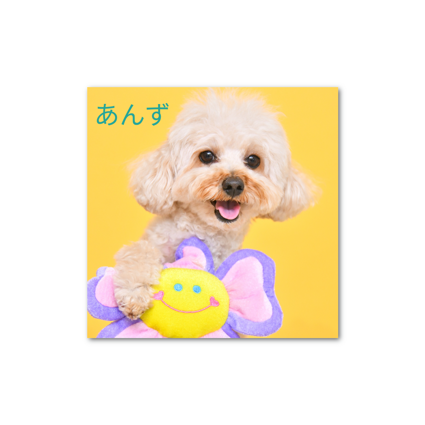 ペーパーウエイト（10cm × 10cm、厚さ2cm） アクリル