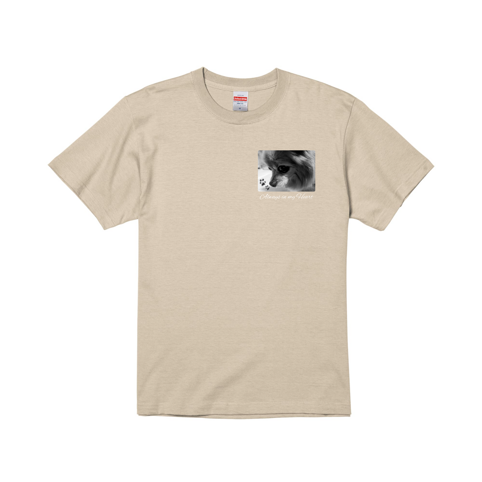 prt-5001-01-SSB