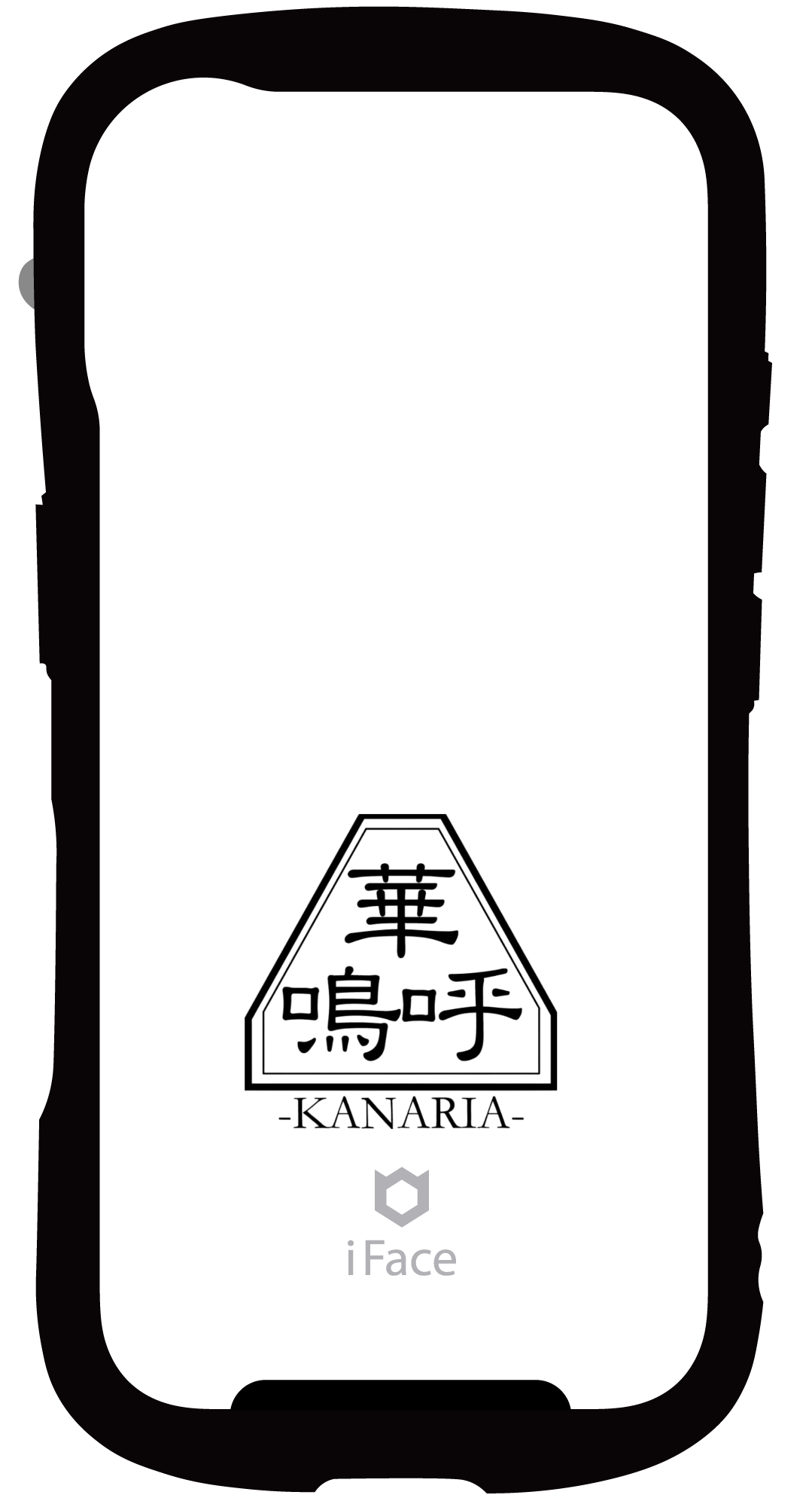 41-LAB-IS-016