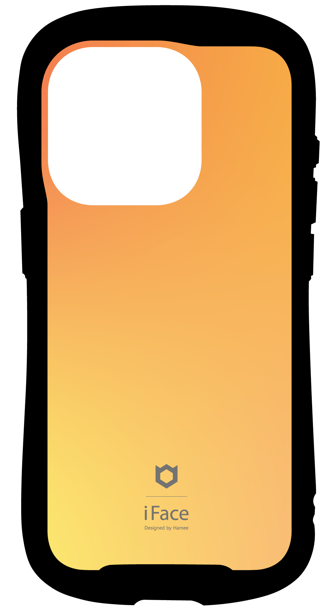 41-LAB-IS-009