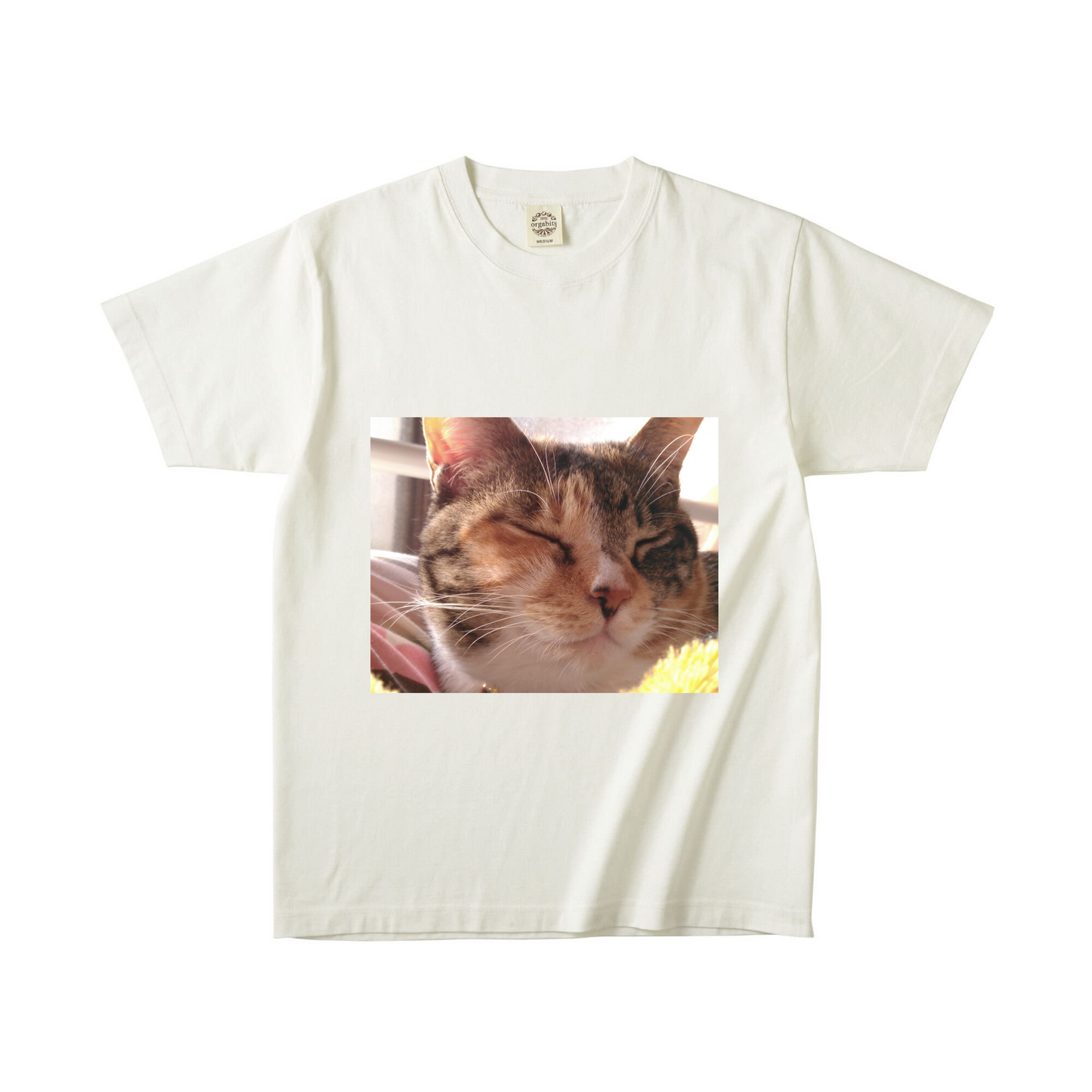 ナチュラルオーガニック半袖Tシャツ Lサイズ