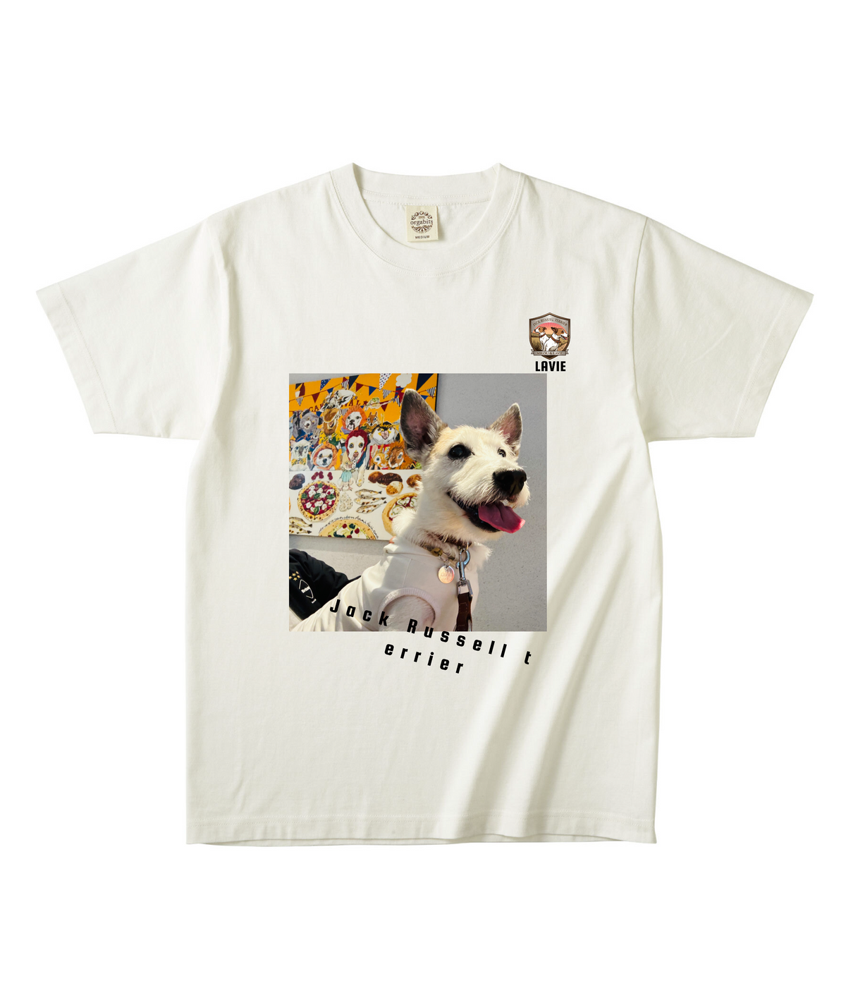 ナチュラルオーガニック半袖Tシャツ Mサイズ