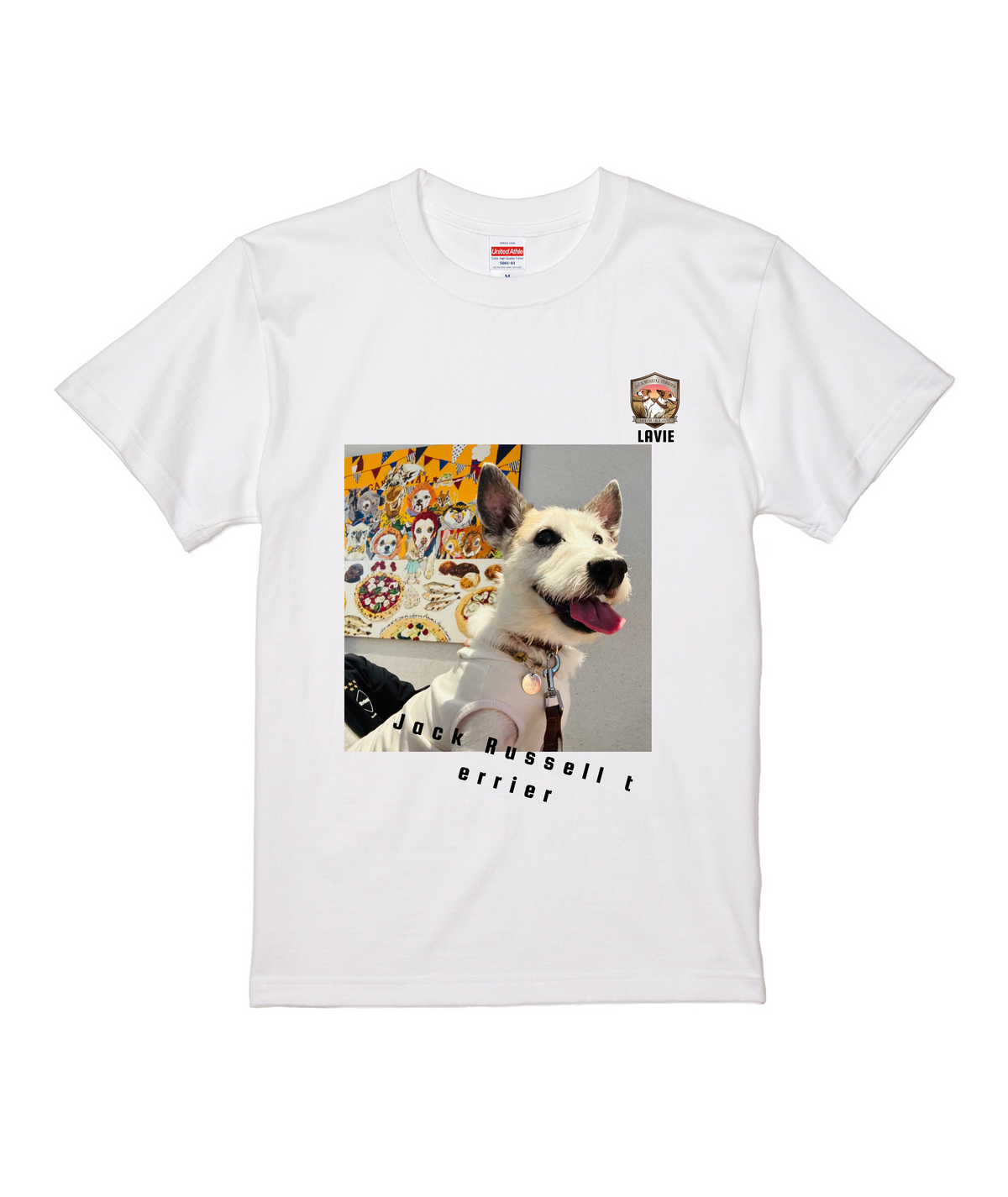 ホワイトスタンダード半袖Tシャツ Mサイズ