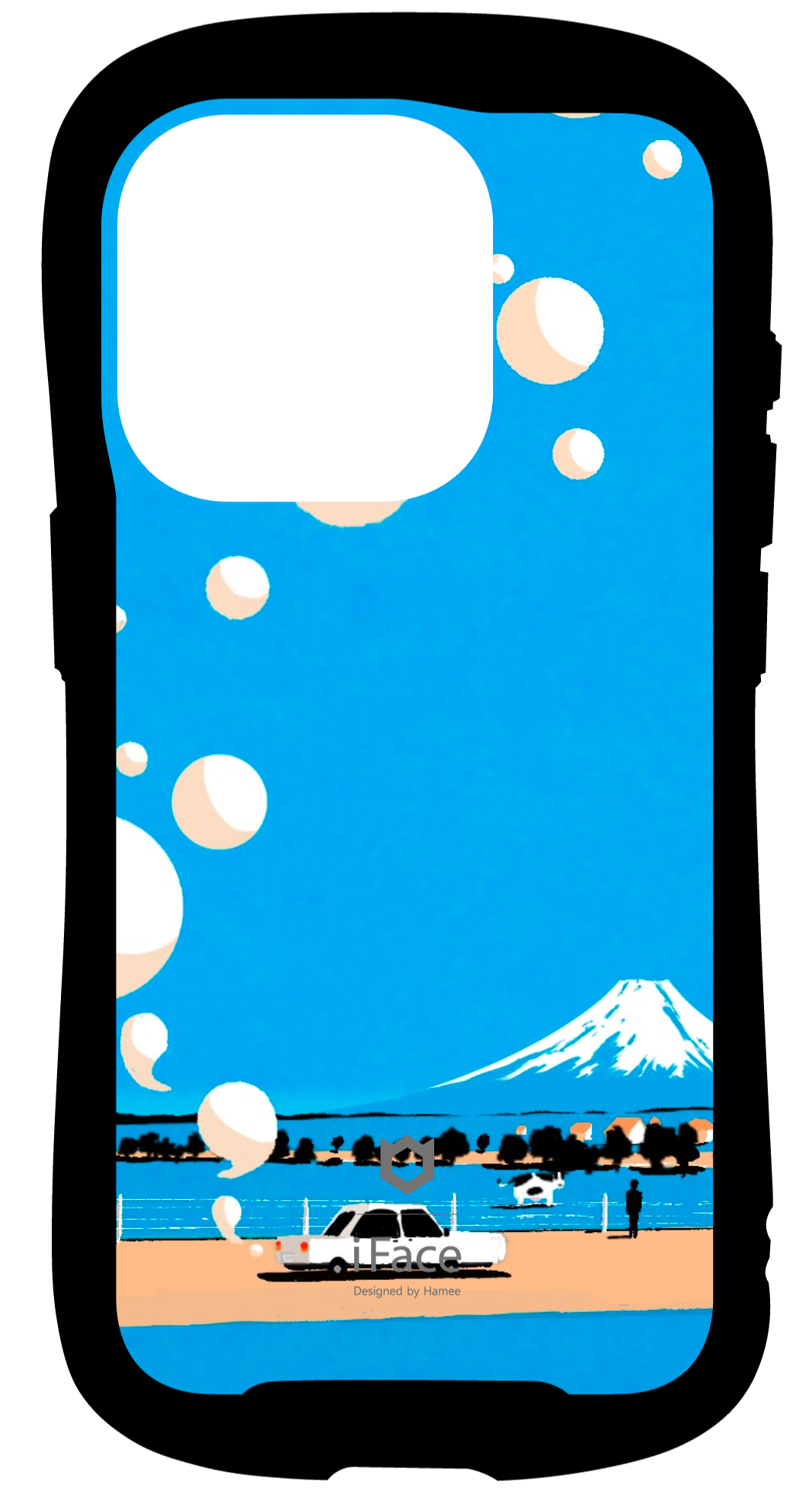 41-LAB-IS-009