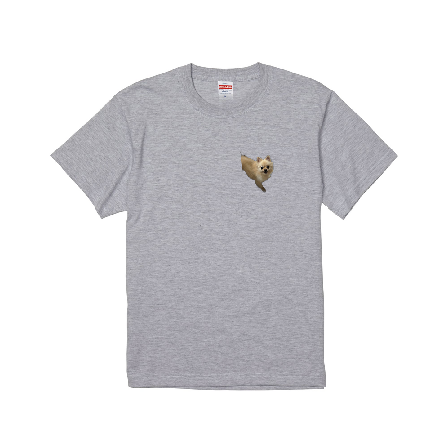 アッシュスタンダード半袖Tシャツ Lサイズ 開いているドア