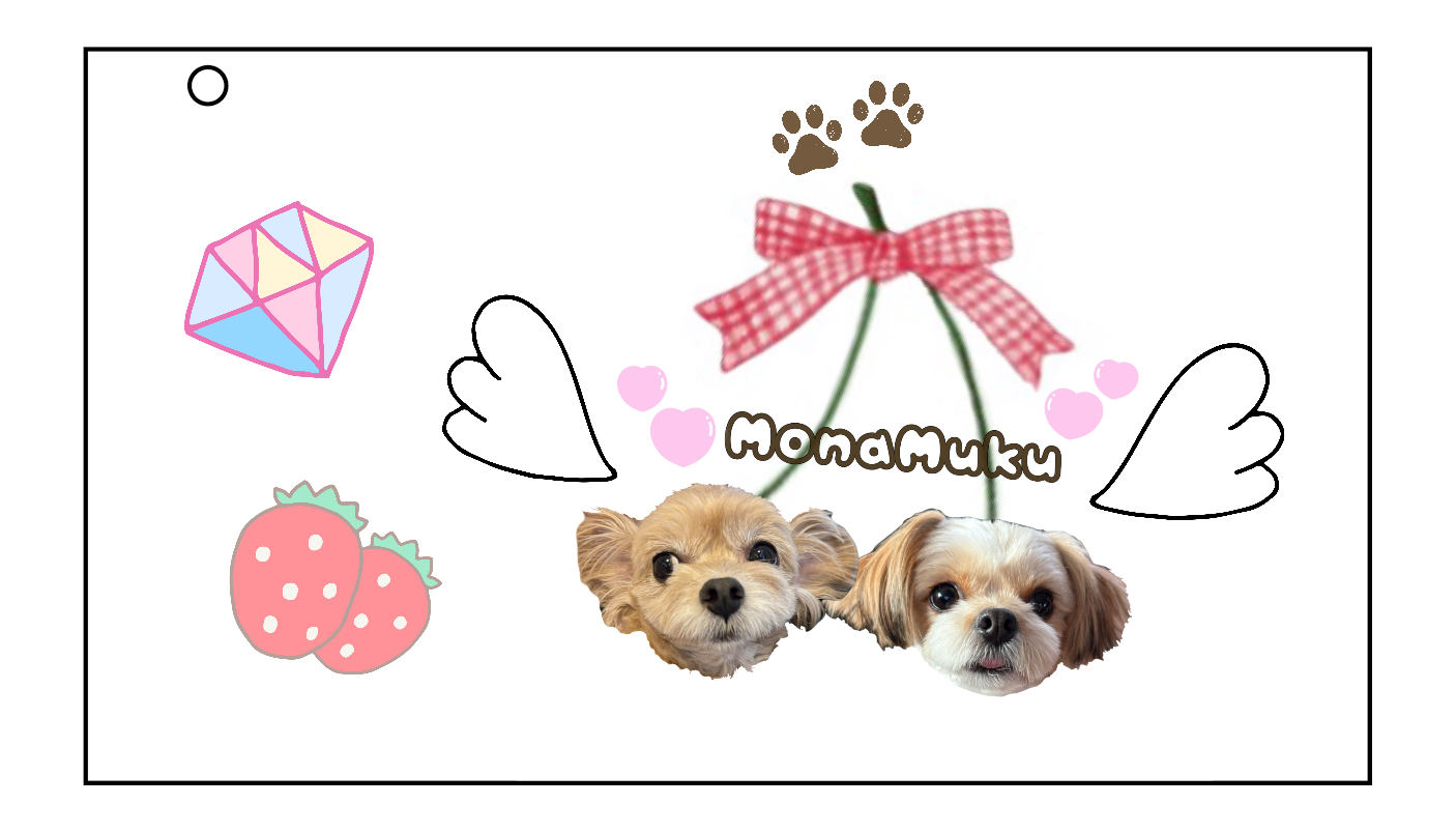 マルチケース Sサイズ