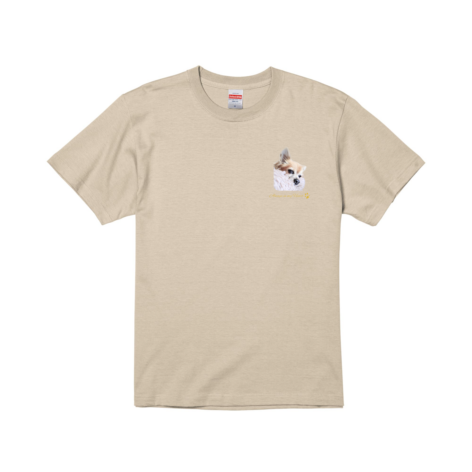 prt-5001-01-SSB