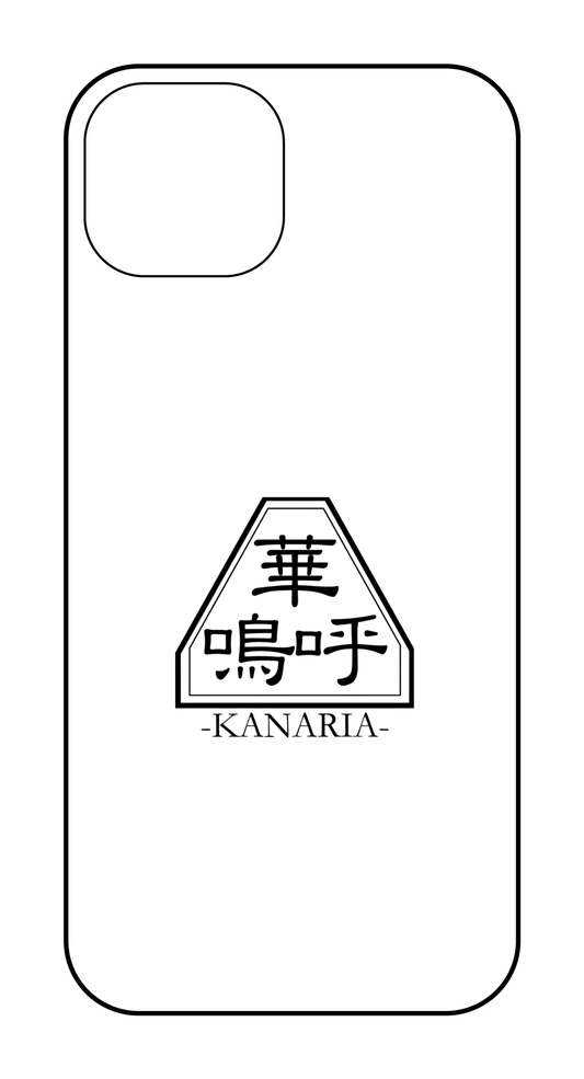 labo6-custom_case_13_14